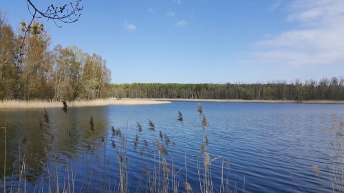 Mecklenburgischen Seenplatte See