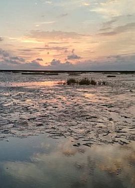 Haus am Watt - Umgebung