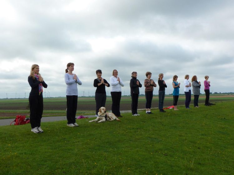 Yoga auf dem Deich