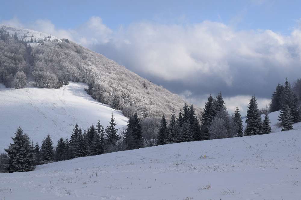 Winterlandschaft