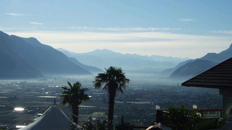 Südtirol-Etschtal-mit-Palmen-Sento-Wanderreisen